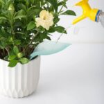 Watering diversion Flower Device Plant Waterer Self Watering Globes Leaf Shape Potted plant Creative Waterer Garden tools