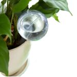 Automatic Globe Watering Waterer House Device Plant Bulb Garden Pot Cleaning Supplies