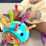 Hedgehog Montessori Toy Baby Concentration Training Early Education Toy Focused On Children Fine Motor And Sensory Hedgehog Toy