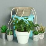 Terrific Automatic Watering Controllable Volume Wicking String Potted Flower Wicking Cord Suck Water Household Stuff