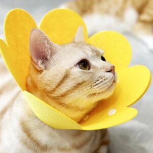 Pet Protective Collar Dog Neck Cone Recovery Cone Collar for Anti-Bite Lick Surgery Wound Healing Cat Dogs Health