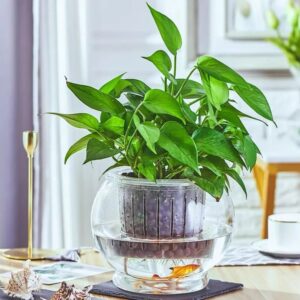 Soilless Mesh Net Basket Plant Veg Grow Nursery Cup Pot Tray Aeroponic Veg Planter 10 Meter Absorbent Rope