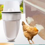 Automatic Feed Feeder Chickens Ducks Geese Poultry Feeder Poultry Feed Port Gravity Feed Kit Bucket Box Chicken And duck Feeder
