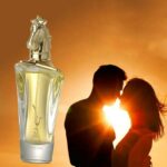 Gold wild horse head Perfume Oil Middle East Dubai lasting Light Fragrance Fresh Desert Flower Essential Oil Health Beauty
