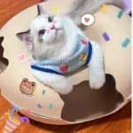 Donut Cat Bed Pet Cat Tunnel Interactive Game Toy Cat Bed Dual-use Indoor Toy Kitten Sports Equipment Cat