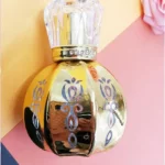 Pumpkin  Stamping High-grade Perfume Glass Empty Bottle Spray Cosmetic Bottle