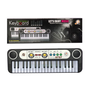 Mini Music Toy Kids Electronic Organ Musical Children Keyboard Piano Electronic Digital Piano Toys with Microphone