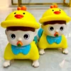 Baby Toys Toddler Musical Toys Baby Toys Early Educational Toys for Infant