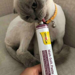 Cat Feather Tangle Anti Macun Malt Soft Extra