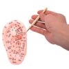 Ear Point Finder Acupressure Massage Pen Shiatsu Tools Therapy Tool Pain Relief Massager