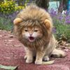 Breathable Pet Hood Decorative Pet Hat Adorable Pet Photography Props Soft Lightweight Lion-style Hats for Dogs Cats for Fun