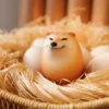 Creative Shiba Inu Realistic Egg Shape PVC Desk Decor Dog & Egg Union Decorations For Home Offices Fun Christmas Toy