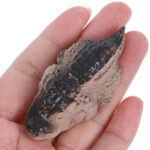 Clay Mini Alligator Crocodile Tea Pet Miniature House Warming Gift Accessories Lovely DIY Terrarium Crafts for Tea Lovers