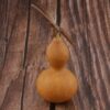 Natural Dry Gourd Bottle Home Table Decor Dried Flowers Fruits Ornament for Wedding Party Christmas Decors DIY