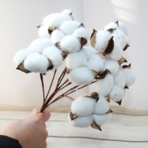Artificial Dried Cotton Flowers White Flower Branch for Wedding Party Decoration Fake Flower Home Flower Decor Eucalyptus Leaves