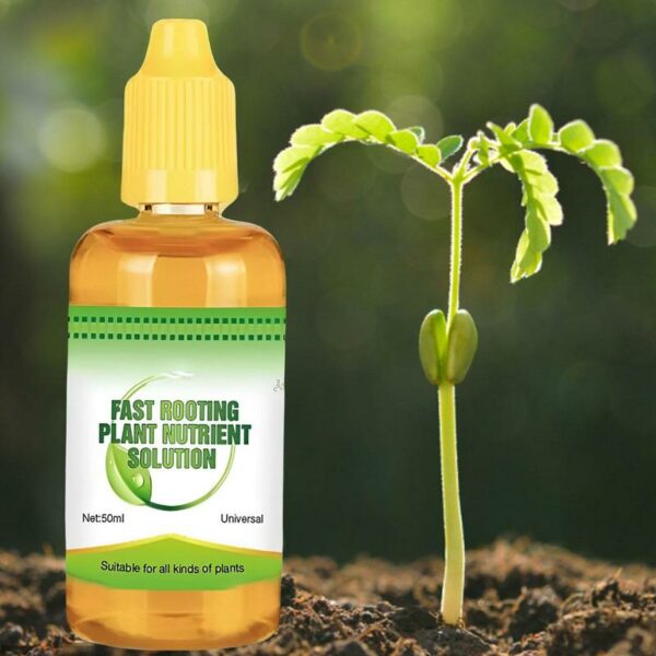 Hydroponic Plant Nutrient Solution Fertilizer Rich Potted Foliar Fertilizer Green Seed Bamboo Flower Concentrated