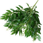 Artificial Leaves Bouquet Fake Willow Jungle Wedding Backdrop Christmas Decoration Faux Foliage Vine Party Home Decor
