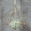 Air Plant Flower Decoration Design Metal Hanging geometric Shape Basket Home Garden Outdoor Hanger Holder Bracket