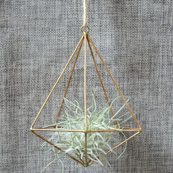 Air Plant Flower Decoration Design Metal Hanging geometric Shape Basket Home Garden Outdoor Hanger Holder Bracket