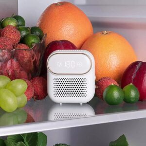 Refrigerator Deodorizer Disinfector Air Purifier Keep Fresh Rechargeable Deodorizer Home Kitchen Ozone Generator