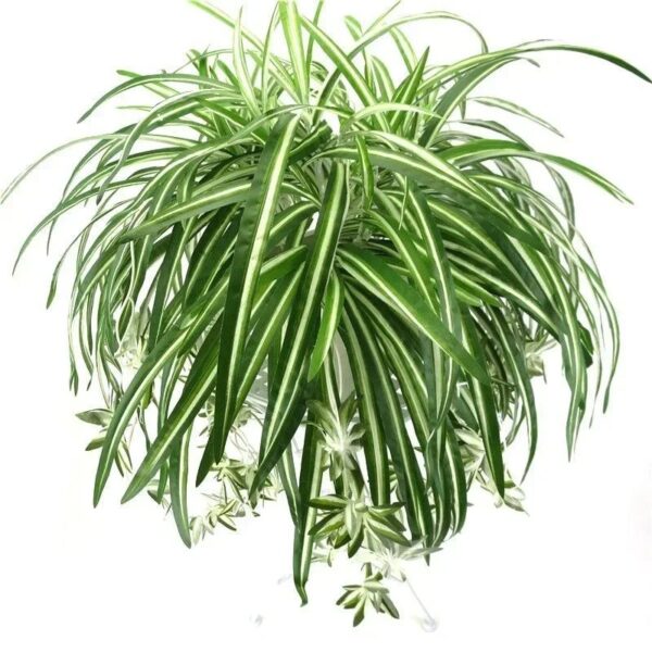 Artificial Plants Wall Hanging Chlorophytum Potted Green Plants PVC Fake Plants Simulation Flower Living Room Decor