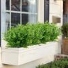 Artificial Plants green Eucalyptus Christmas Wreath for Wedding Home Balcony bonsai Decoration DIY Shooting props