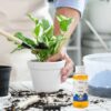 Plant Rooting Liquid Rooting Fertilizer Booster Liquid Rapid Rooting Fast Plant Seedling Fertilizer Liquid Nutrient For Flower