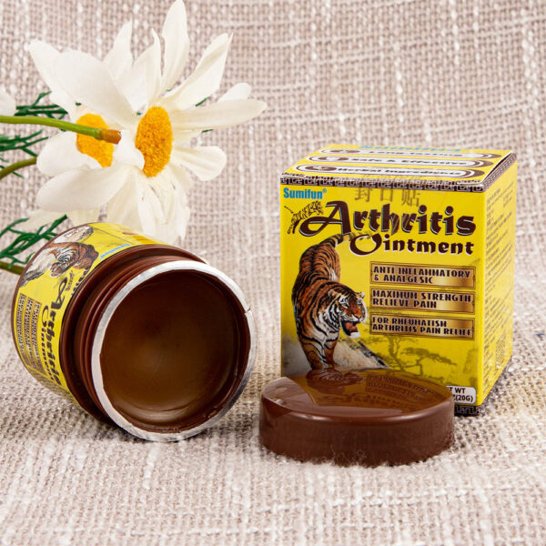 Beauty Health Relaxation Treatment Arthritis Ointment Wormwood Muscle Joints Shoulder Lumbar Knee Pain Analgesic Cream Chinese
