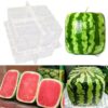 Square Shape Watermelon Calabash Shaping Mold Fruit Growth Forming Mould Tool Fruit Growth Shaping Square Fruit Growth Mold