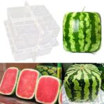 Square Shape Watermelon Calabash Shaping Mold Fruit Growth Forming Mould Tool Fruit Growth Shaping Square Fruit Growth Mold