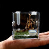 Reptiles Breeding Box Clear Acrylic Cage Habitat Insect Feeding Box Terrarium Tank Escape Proof For Jumping Spider