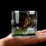 Reptiles Breeding Box Clear Acrylic Cage Habitat Insect Feeding Box Terrarium Tank Escape Proof For Jumping Spider