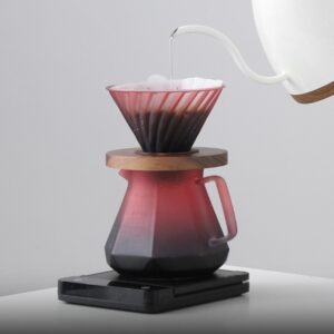 Three-piece Hand-brewed Coffee Filter Cup Coffee Pot Set for People Hand-brewed Coffee Sharing Pot Set Barista Accessories