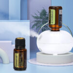 Mini Pure Oil Fragrance Diffuser Aromatherapy Machine Automatic Induction Portable Aroma Diffuser Office Essential Oils Diffuser