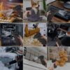 Mini Turbo Jet Fan Electric Air Duster with  Adjustable  Wind Speed Car Computer Cleaning Blower Tool