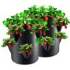 Multi-Mouth Grow Bag Gallons Strawberry Tomato Planting Bags Reusable Gardens Balconies Flower Herb Planter