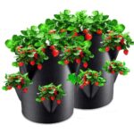 Multi-Mouth Grow Bag Gallons Strawberry Tomato Planting Bags Reusable Gardens Balconies Flower Herb Planter