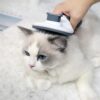 Pet Comb Automatic Hair Removal Comb Stainless Steel Needle Comb Cat Dog Combs Cleaning Household Goods One Click Hair Removal