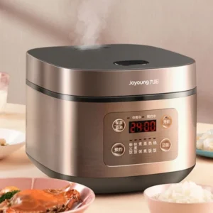 Multi-function Smart Rice Cooker for Cooking Rice and Soup Rice Cooker 220V Cuiseur Electrique Multifonction Rice Cooker