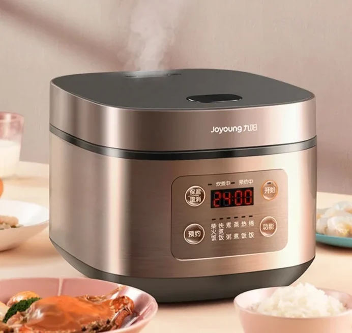Multi-function Smart Rice Cooker for Cooking Rice and Soup Rice Cooker 220V Cuiseur Electrique Multifonction Rice Cooker