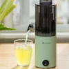 Mini Slow Juicer Household Full-automatic Small Multifunctional Residue Juice Separation Fruit Mini Frying Juicer
