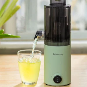 Mini Slow Juicer Household Full-automatic Small Multifunctional Residue Juice Separation Fruit Mini Frying Juicer