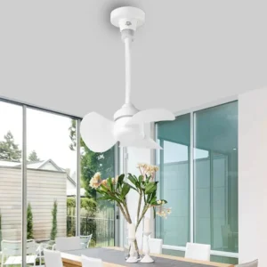 Indoor Ceiling Fan With Screw Base And Brushless Motor Compact Size Providing Quiet And Efficient Air Movement