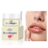 Nourishing Hyaluronic Acid & Collagen Lip Sleeping Mask | Gentle Exfoliating Lip Care  Hyaluronic Acid Collagen Lip Mask