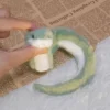 Plush Year of The Snake Plush Toy Little Snake Wrap Around Arm Snake Stuffed Plush Doll Comfort Cartoon Green Snake Animal Doll