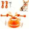 Interactive Dog Toy Ball with Rope Electronic Motion Activated Rolling Ball for Indoor Cat Dog Play Toys for Puppy Training Ball